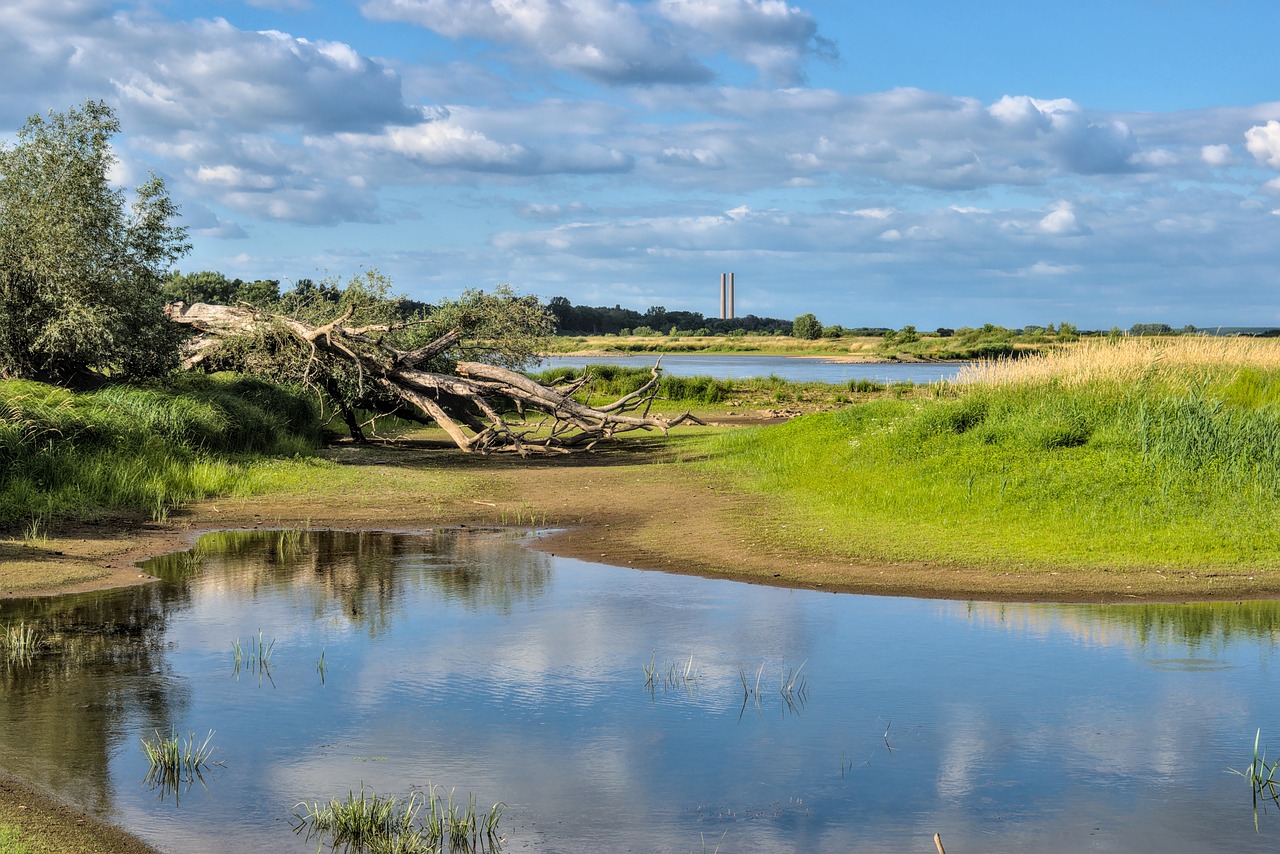 The Importance of Climate Change Awareness